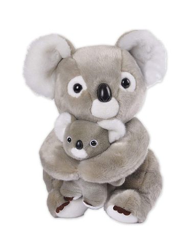 koala hugging mother mommy baby infant newborn mother hugger hug bear