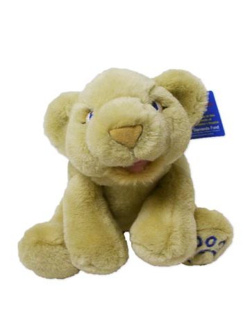 nittany lion cubby cub baby cat kitten