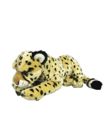 leopard cheetah cat